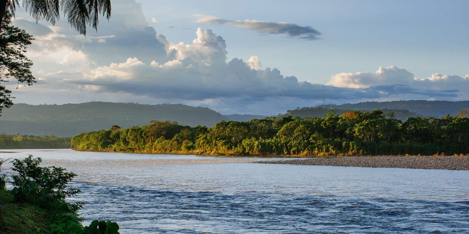 green trees beside body of water under cloudy sky in Tena, Napo, Ecuador