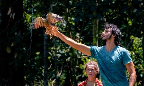 Guy releasing a bird
