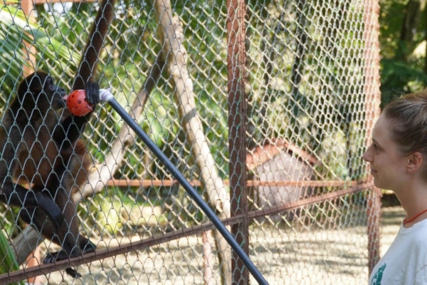 Girl feeding a monkey with stick