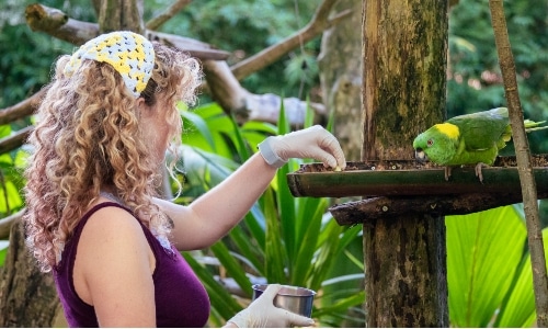 Girl feeding a bird