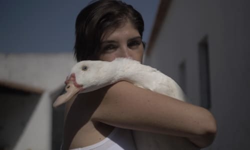 Girl with white duck