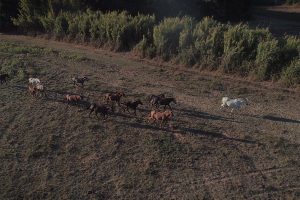 Aerial picture of sanctuary