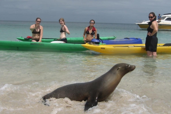 Galapagos, Ecuador