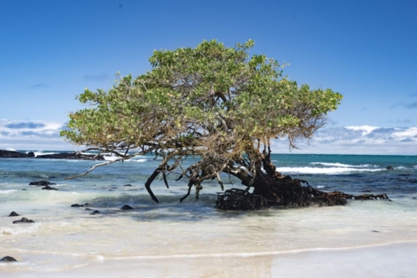 Galapagos, Ecuador