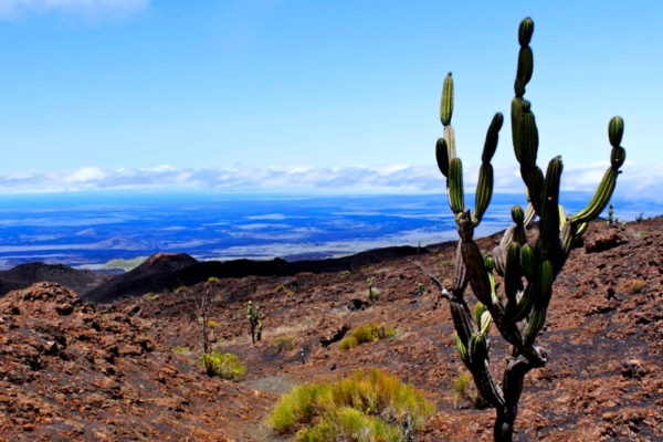 Galapagos, Ecuador