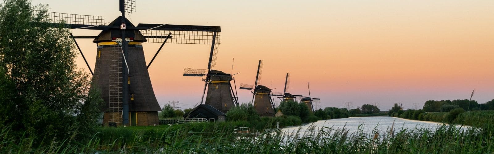 5 Best Reasons to Do an Internship in the Netherlands