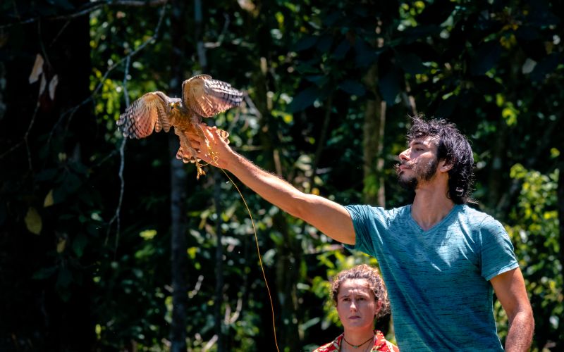 An intern helping a falcon fly.