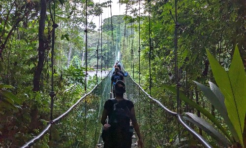 students crossing a bridge on a micro-internship in costa rica