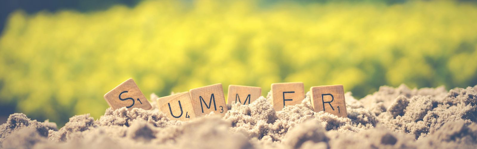 8 Best Summer Internships for 2024 Roots Interns