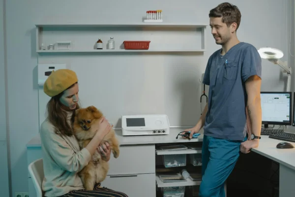 A dog is comforted by its owner while being observed by a veterinary intern during an internship in Europe.