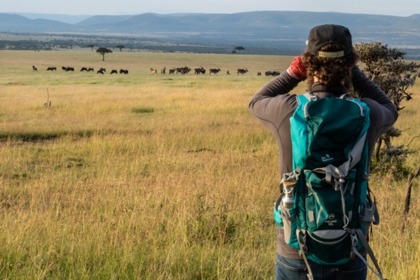 An individual observes wildlife in a wide open field with animals in the distance.