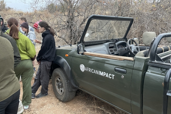 A group of people standing near a safari vehicle branded "African Impact" during a wildlife expedition.