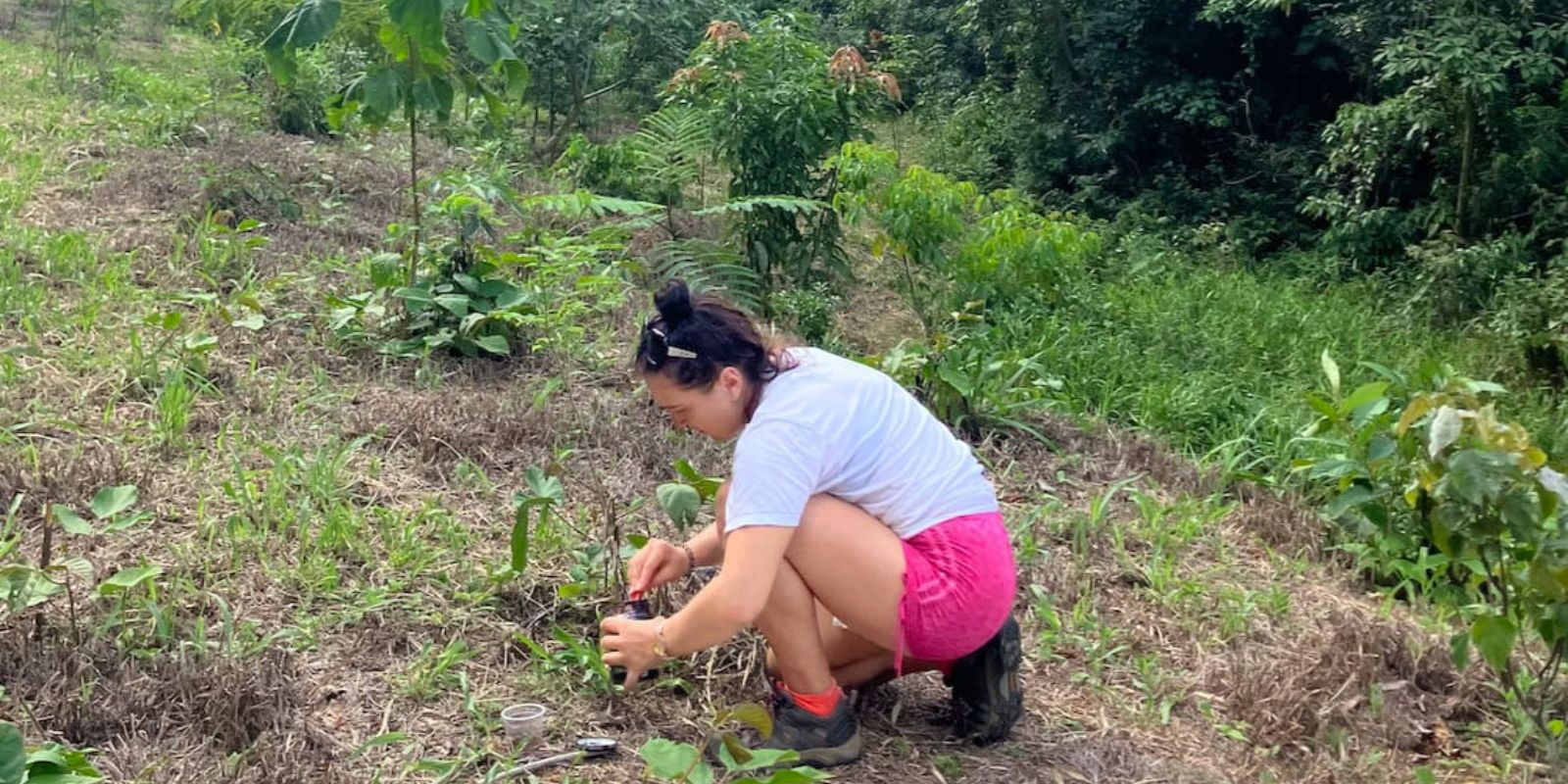 Intern planting a plant.