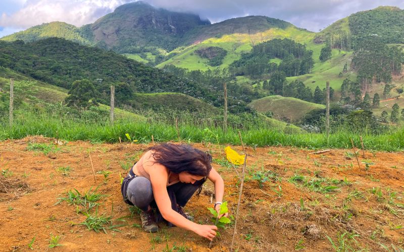 Intern transplanting a young plant into the soil.