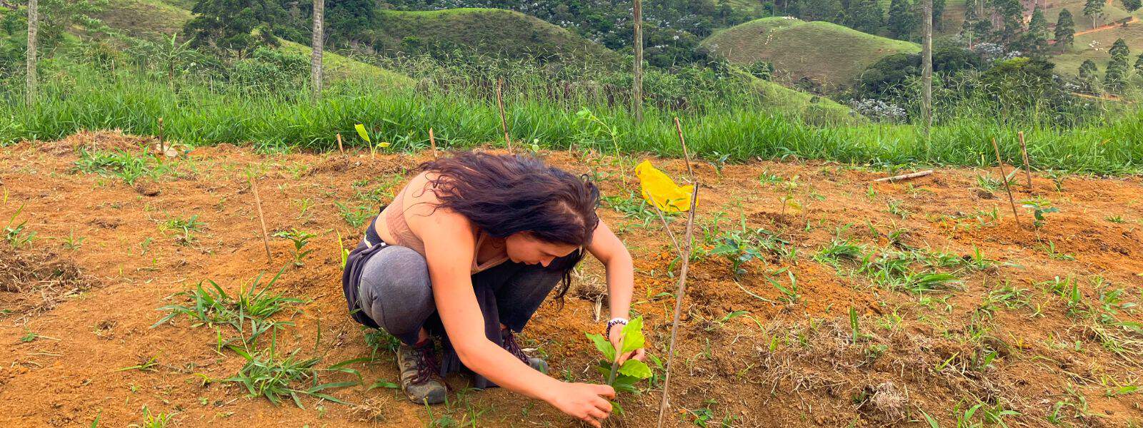 What to Expect From an Environmental Conservation Internship in Brazil