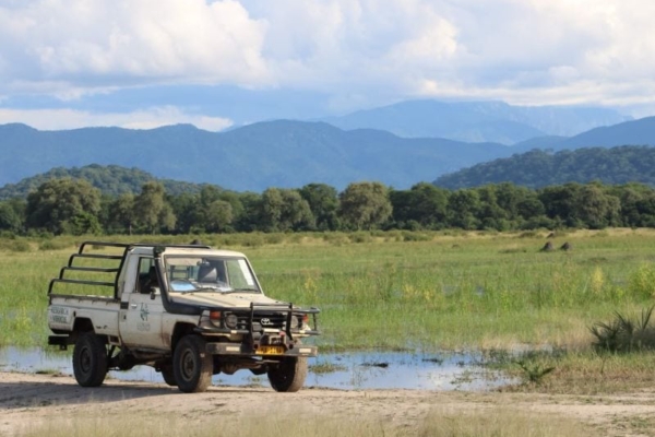 A safari truck out in the open field of the Liwonde National Park.