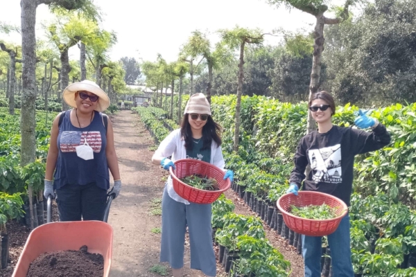 A group of interns from the Social Business internship in Latin America.