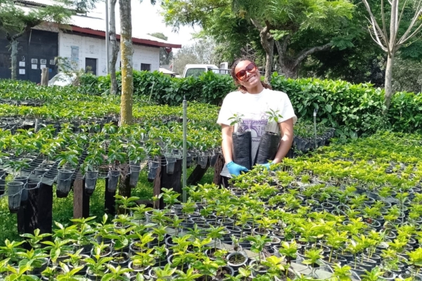 An intern amongst the plants while in her Social Business Internship in Latin America.