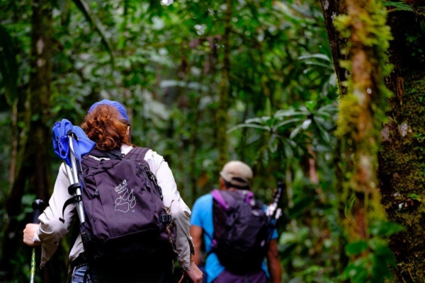 A pair of interns for the animal wildlife rehabilitation internship walking through the amazon.