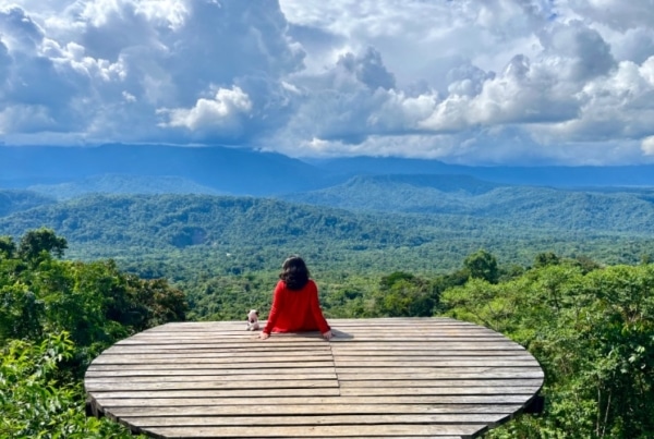 Enjoying the Amazon rainforest view during an animal welfare internship in Ecuador.
