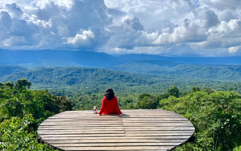Enjoying the Amazon rainforest view during an animal welfare internship in Ecuador.