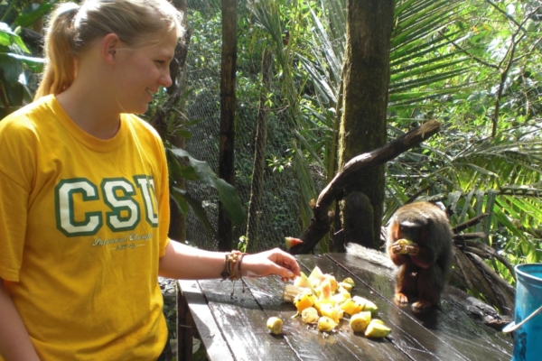 Feeding a rescued monkey at a wildlife rehabilitation center in the Amazon.