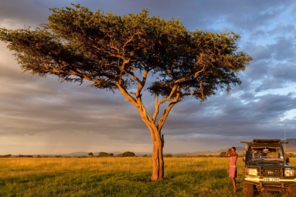 A car in the middle of the savanna next to a car.