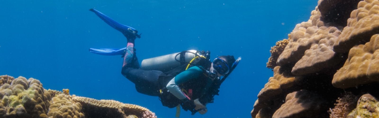 How Interns Are Contributing to Marine Conservation Efforts