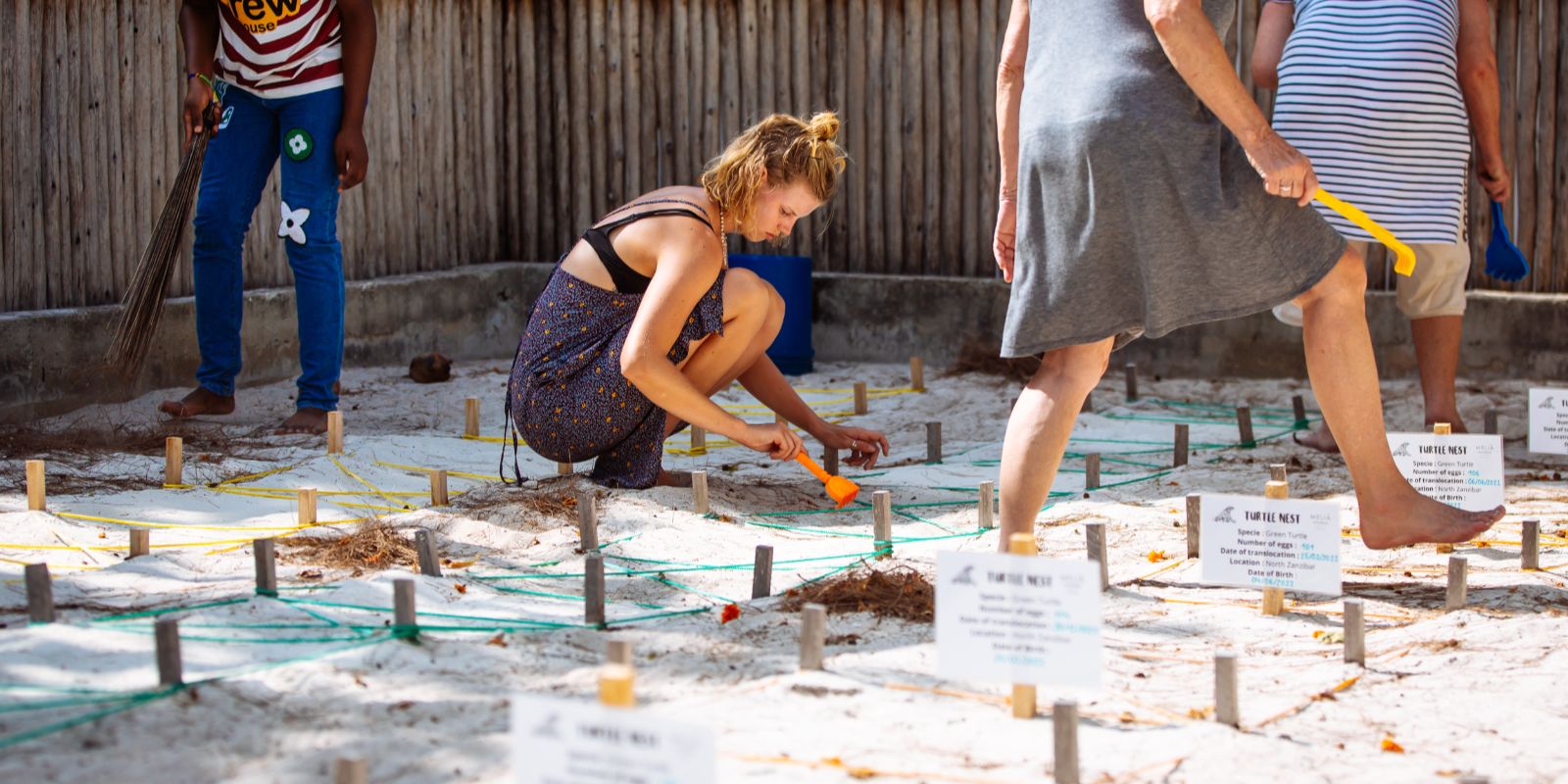 People carefully tending to marked turtle nests in a sandy enclosure