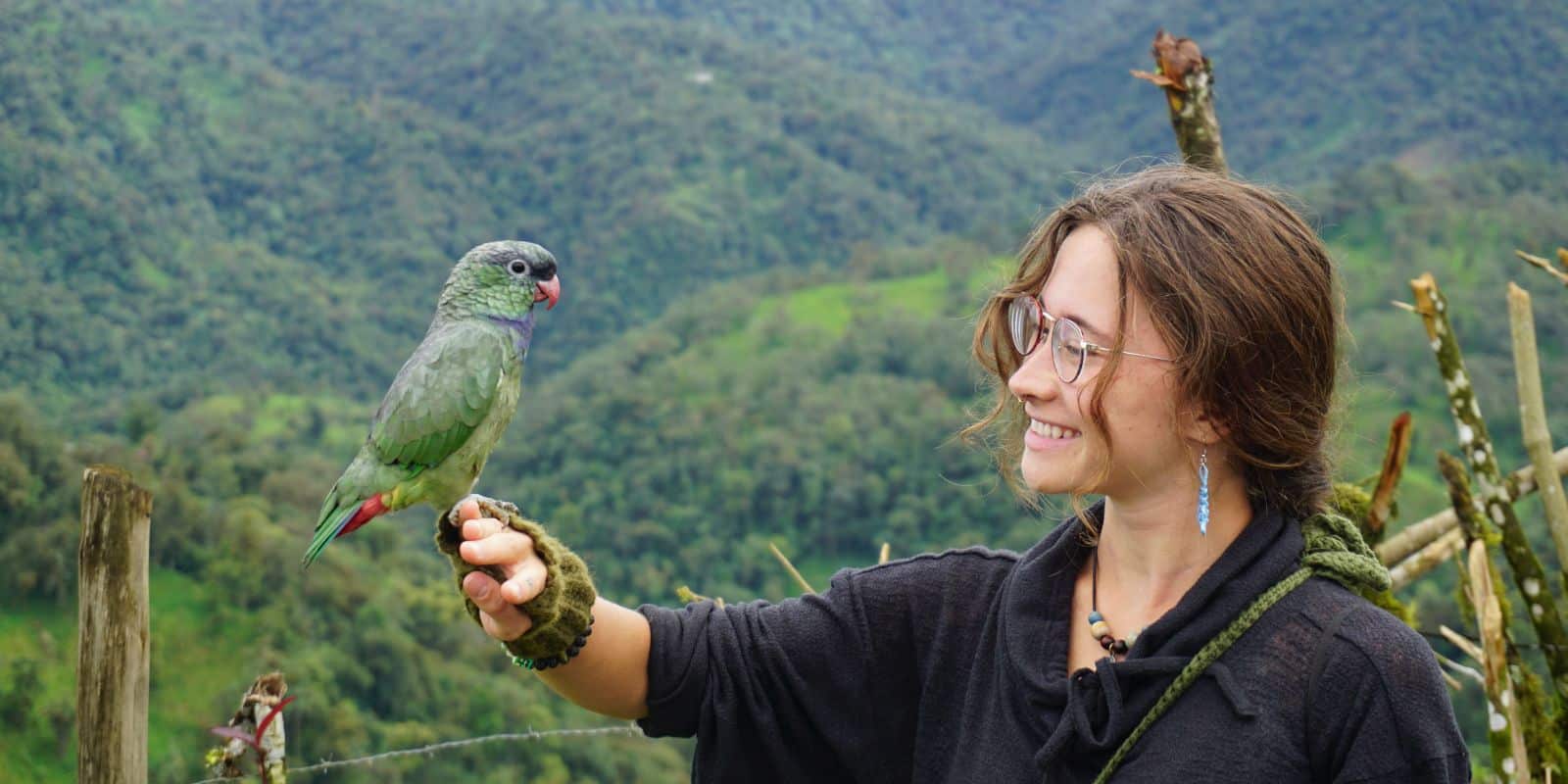 Person smiling at a green parrot perched on their hand with mountains in the background