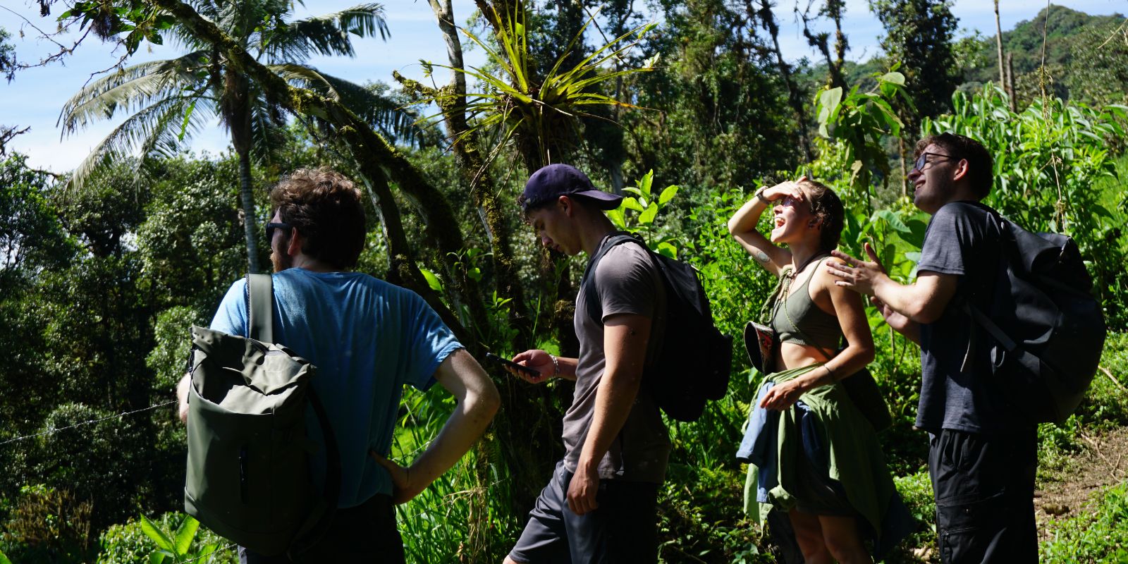 Group of hikers standing in the forest, looking around and smiling