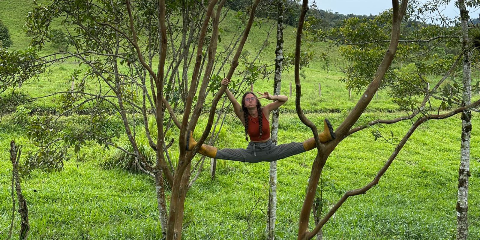 Person doing the splits between two tree trunks in a grassy field