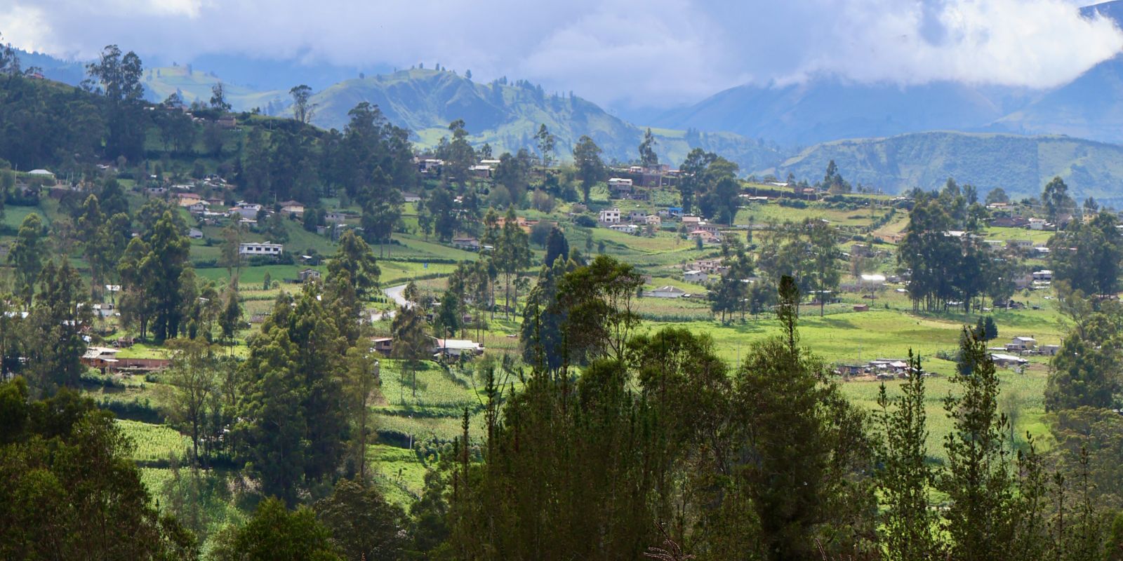 Field of tall corn plants with a landscape of scattered houses, trees, and mountains