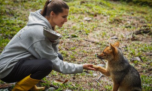 Young women’s health intern engaging in therapeutic animal interaction outdoors