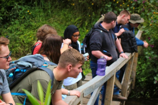 Art Therapy Internship participants observing nature during a guided outdoor learning activity on a wooden bridge surrounded by lush greenery.