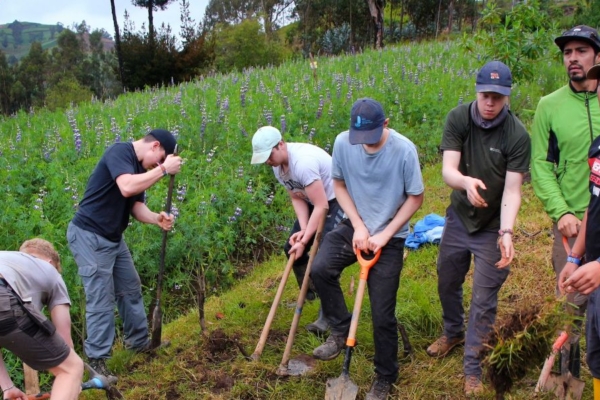 Group of people using shovels and tools while working together on a grassy hillside surrounded by vegetation