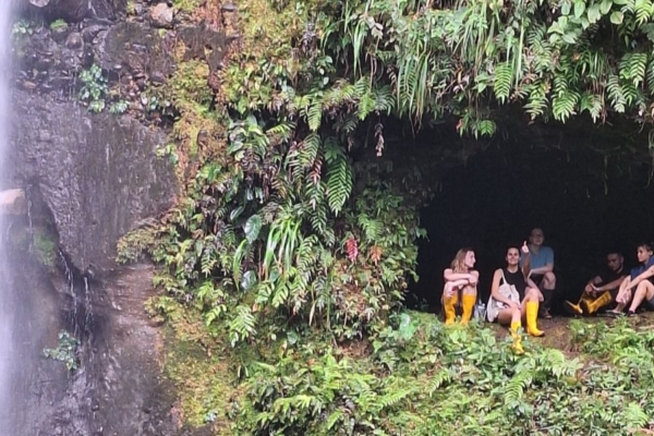 Art interns resting in a mossy cave beside a tall tropical waterfall, surrounded by dense rainforest greenery and wet rock formations.