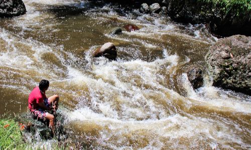 Person sitting on a rock beside a fast-moving river surrounded by natural vegetation