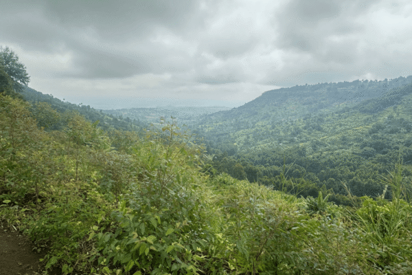 Green, rolling hills.