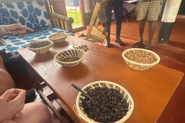 A table with several bowls full of beans.