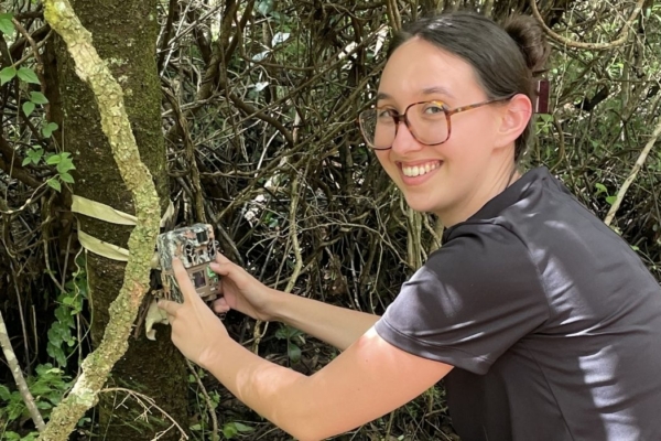 An intern setting up a device on a tree.