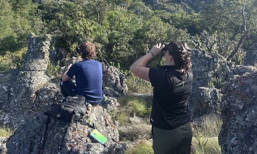 Two people, one using binoculars, looking up at something.