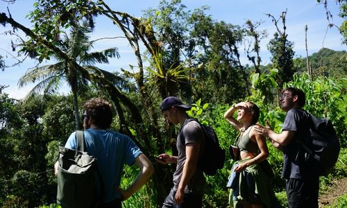 Four people on a hike.